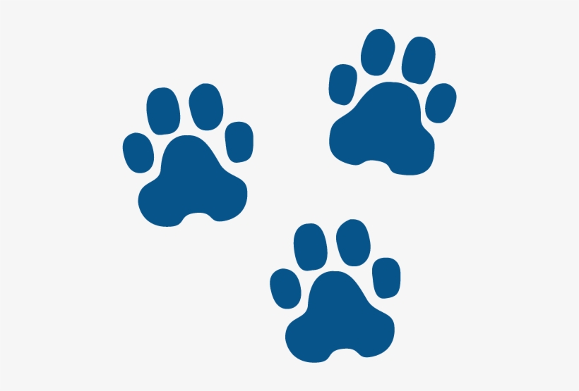 Meet Three Dog - Animal Track Identification Sierra Nevada, transparent png download
