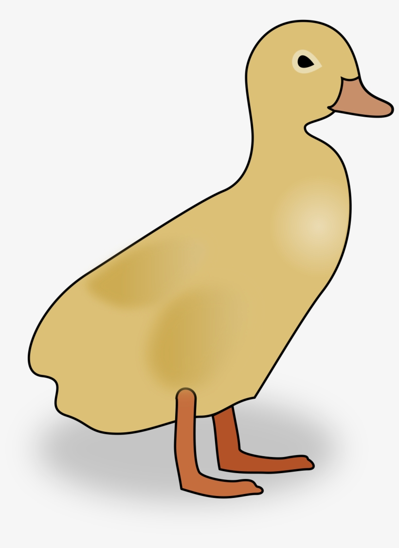 Duckling Png, transparent png download