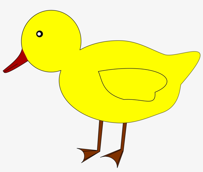 Big Image - Duck, transparent png download
