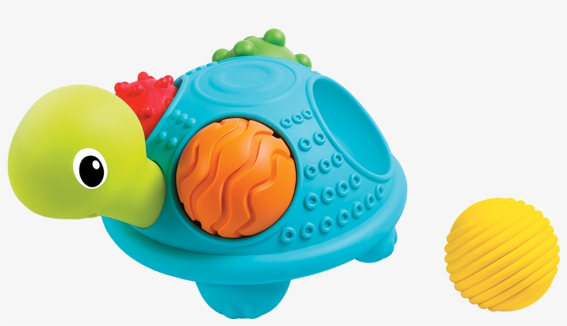 Senso' Turtle - Bkids Senso Turtle, transparent png download