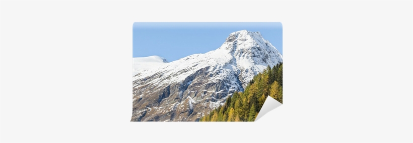 Lars Johansson, transparent png download