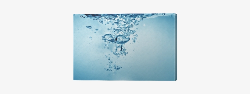 Photography, transparent png download
