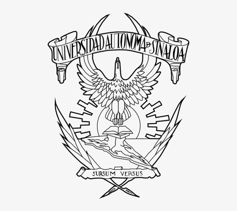 Photo - Google+, transparent png download