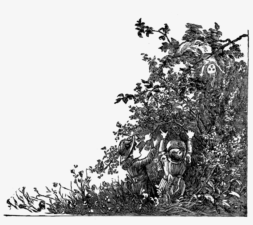 Corner Embellishment Designs - Pretty Corner Designs Transparent, transparent png download