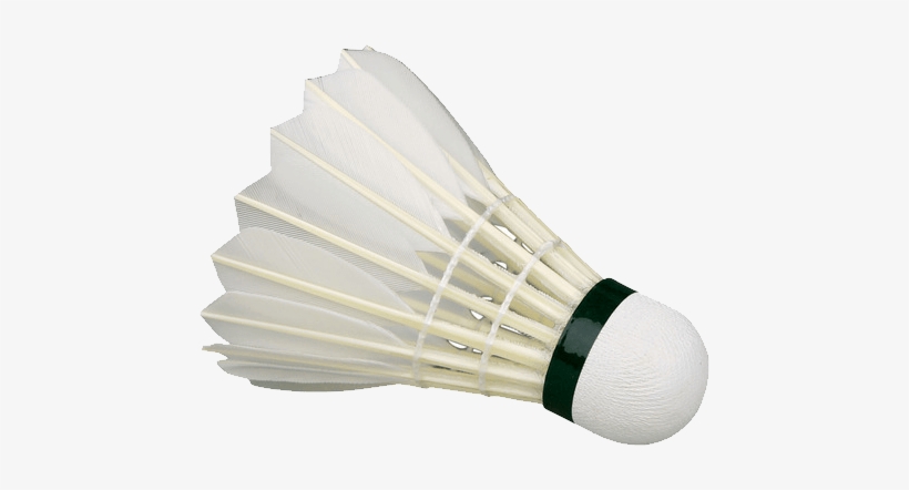 Sports - Badminton - Facilities And Equipment Of Badminton, transparent png download