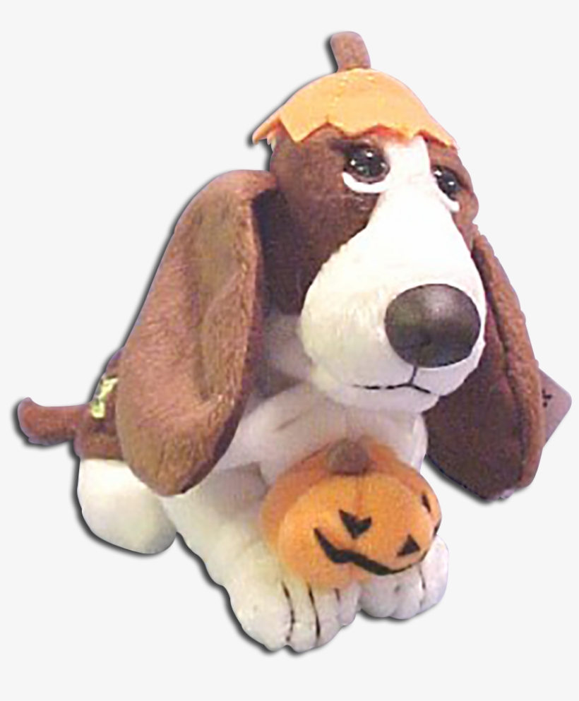 Basset Hounds Are So Cute We Have The Basset Hound - Dog, transparent png download