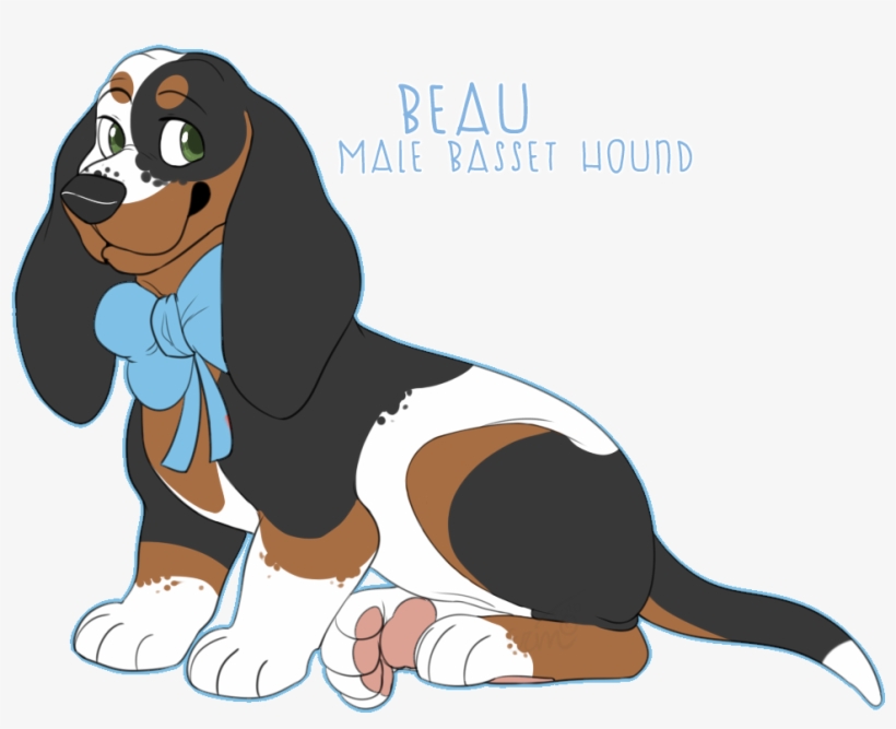 Basset Hound Ofa - Basset Hound, transparent png download