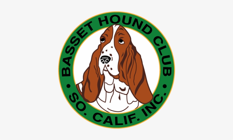 How To Get Started Showing Your Basset Hound - Specialty Show, transparent png download