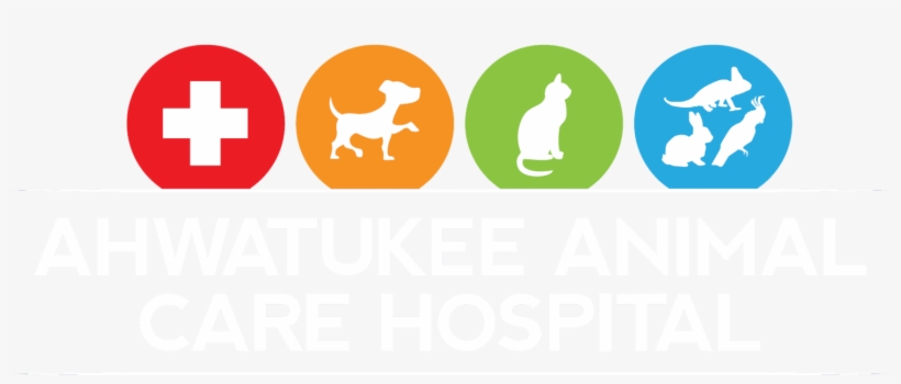 Pet Care Logo Png, transparent png download