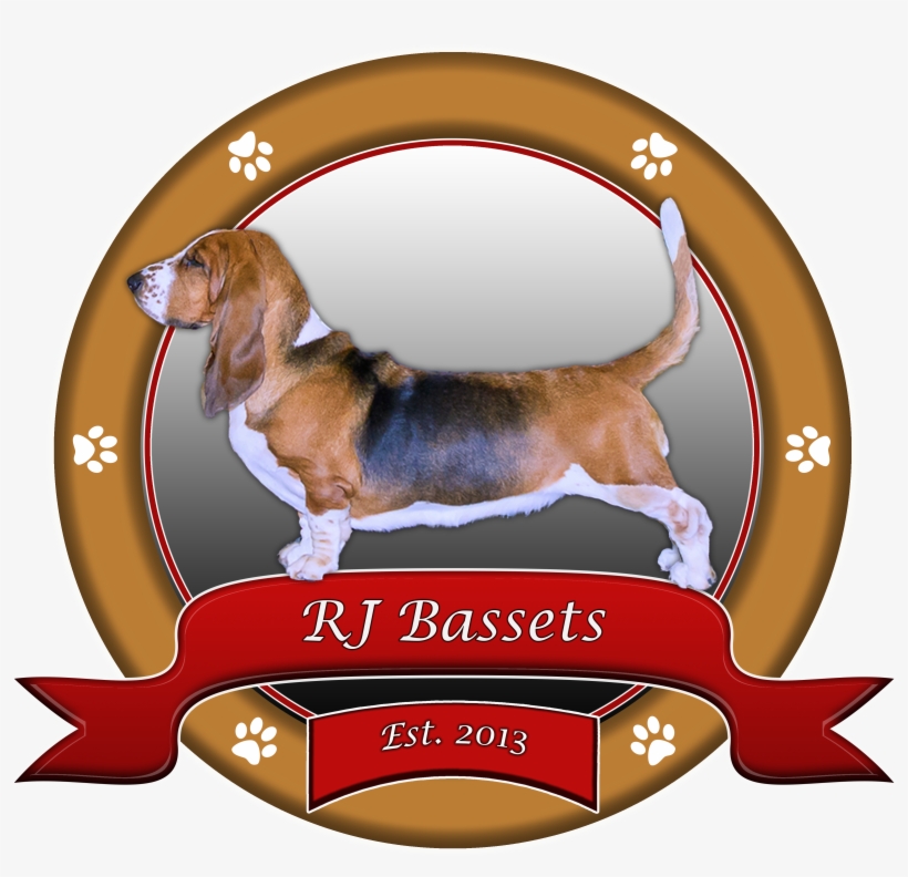 Harrier, transparent png download