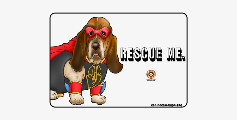 Basset Hound, transparent png download