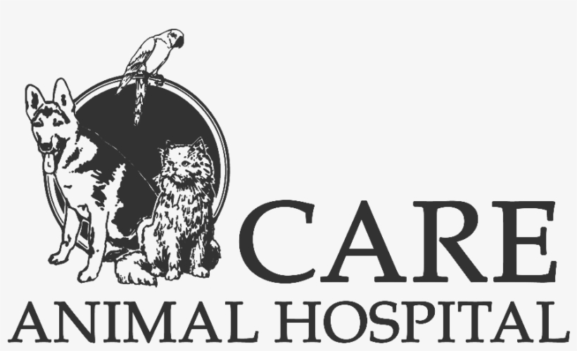Care Animal Hospital, transparent png download