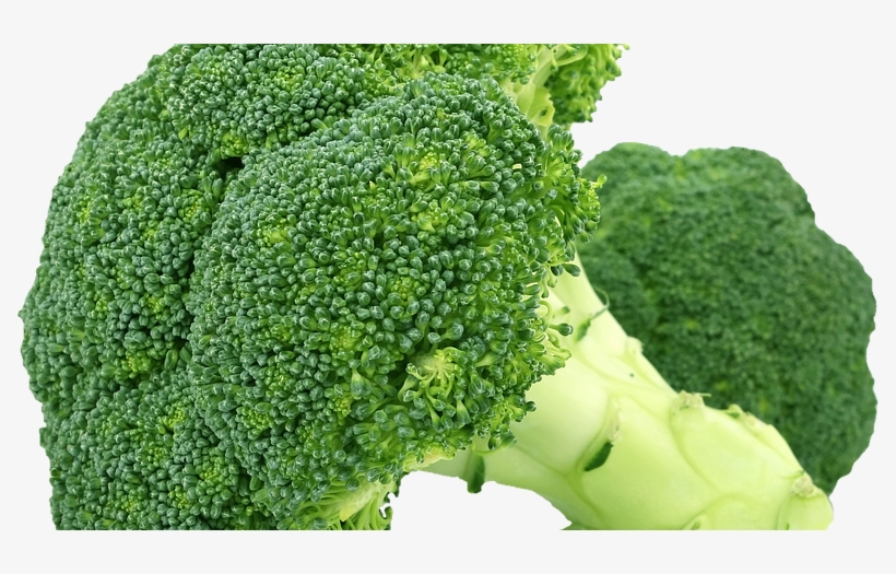 Brocoli-795x445 - Exotic Vegetables In India, transparent png download
