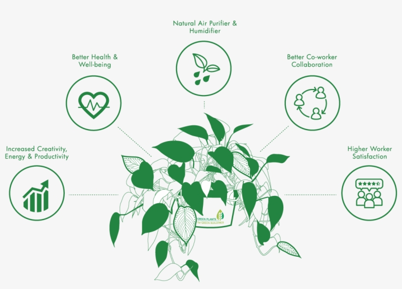 Find - Circle, transparent png download