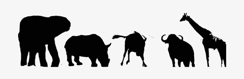 Bwindi Impenetrable Forest Is One Of The Richest Ecosystems - African Animals Png Black, transparent png download