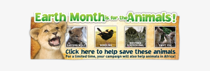 Earth Month Is For The Animals - Achieve! Grade 1: Think. Play. Achieve!, transparent png download