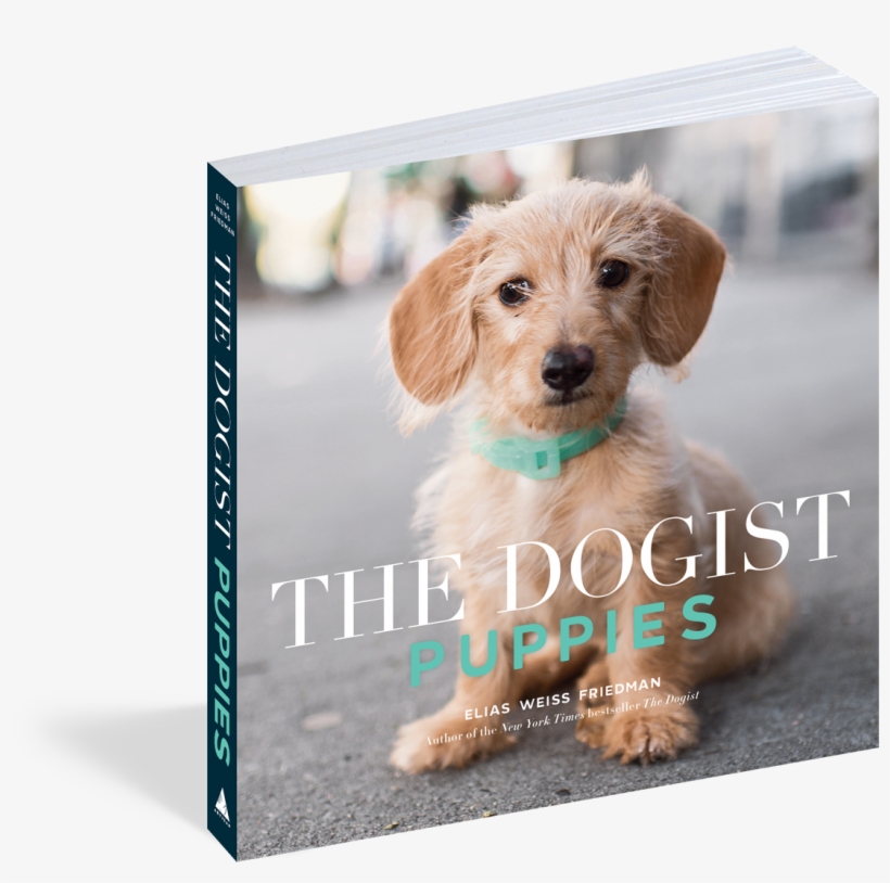 Cover - The Dogist Puppies, transparent png download