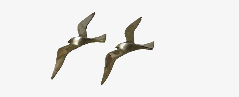 Vintage “flight Of Birds” - Flock, transparent png download