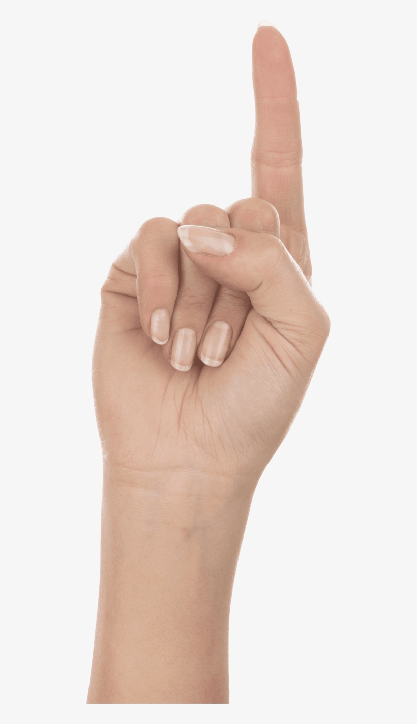 One Finger Hand Png - Portable Network Graphics, transparent png download