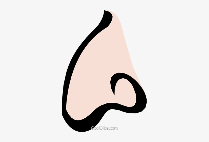 Nose Royalty Free Vector Clip Art Illustration - Illustration, transparent png download