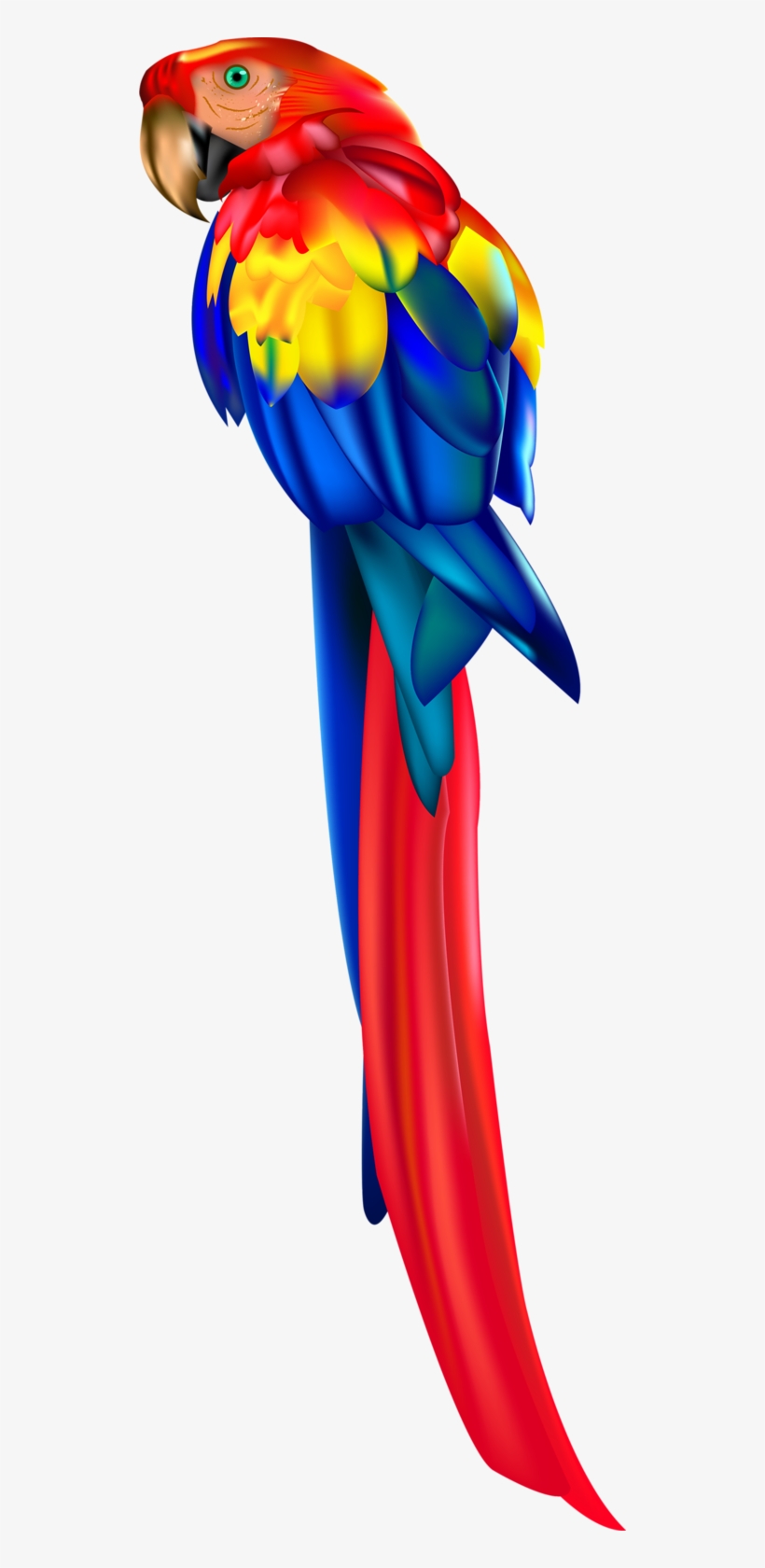 Фото, Автор Soloveika На Яндекс - Parrot Vector Png, transparent png download