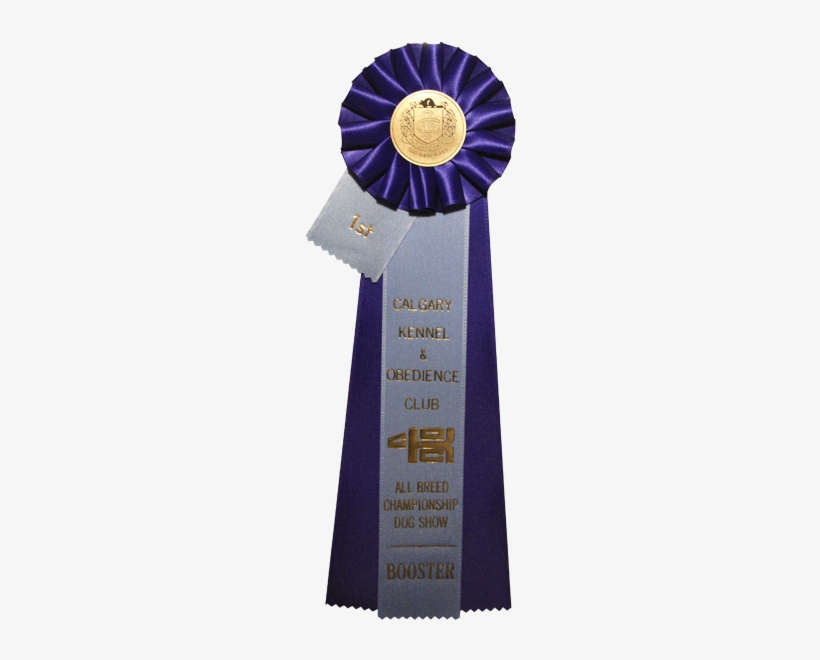 Medal, transparent png download