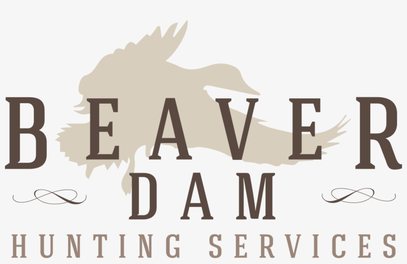 Beaver, transparent png download