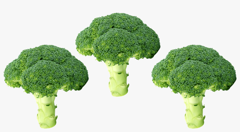 Broccoli Png, Vegetables, Green, Organic, Salad, Food - 50 Broccoli Recipes! [book], transparent png download