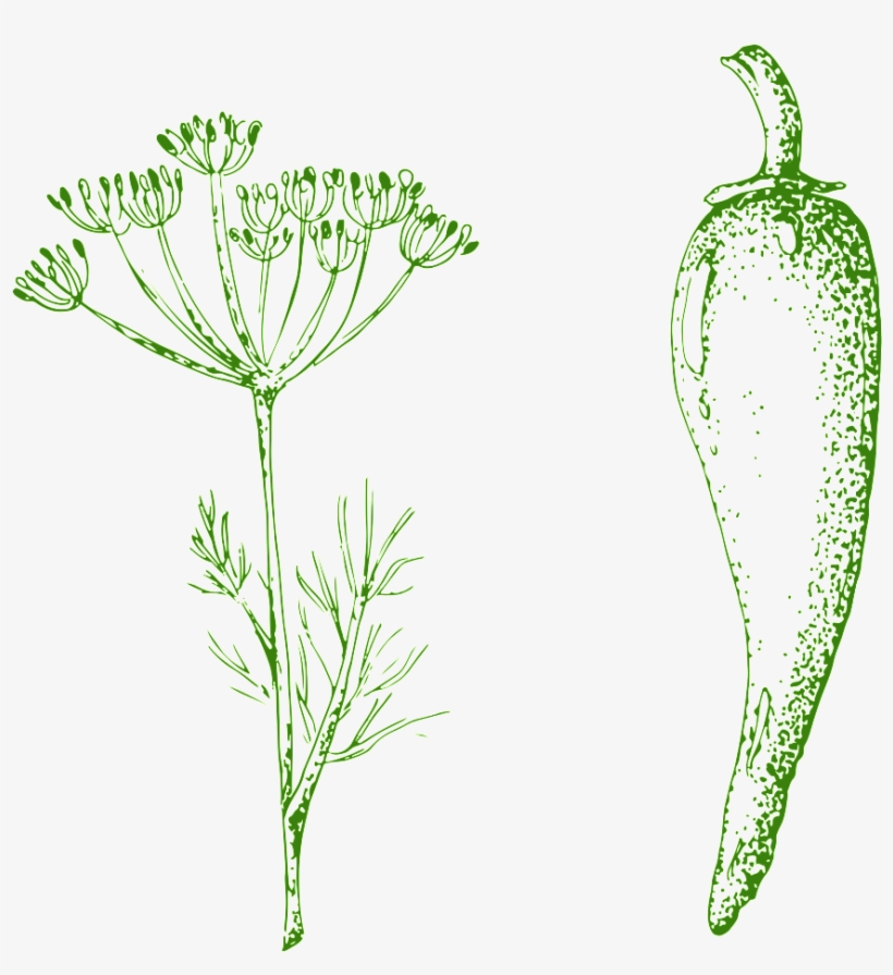 Hand Drawn Chili Transparent Vegetables - Vegetable, transparent png download