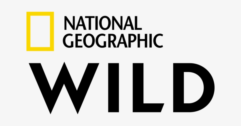 Nationalgeographicwildla - National Geographic Wild Logo, transparent png download