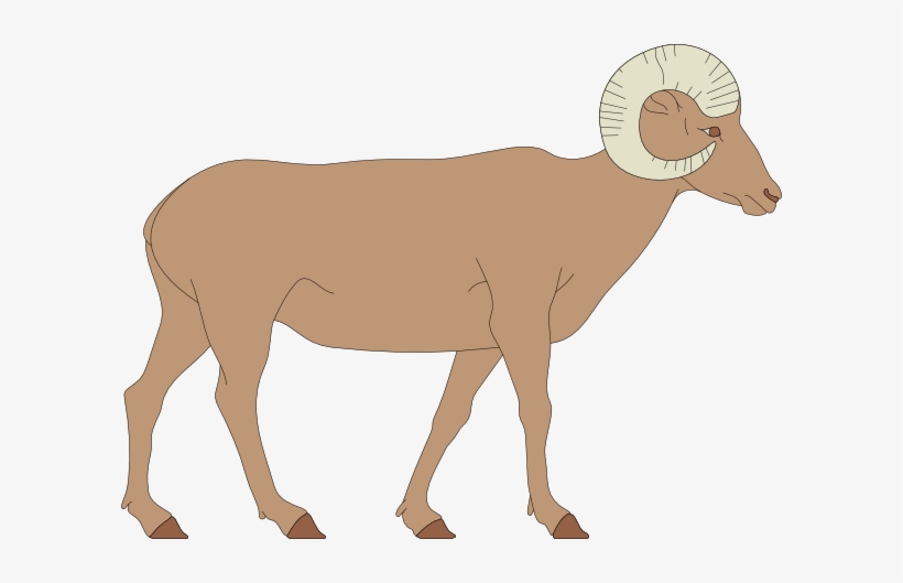 Clipart Sheep Horn Clipart - Bighorn Sheep Clipart, transparent png download