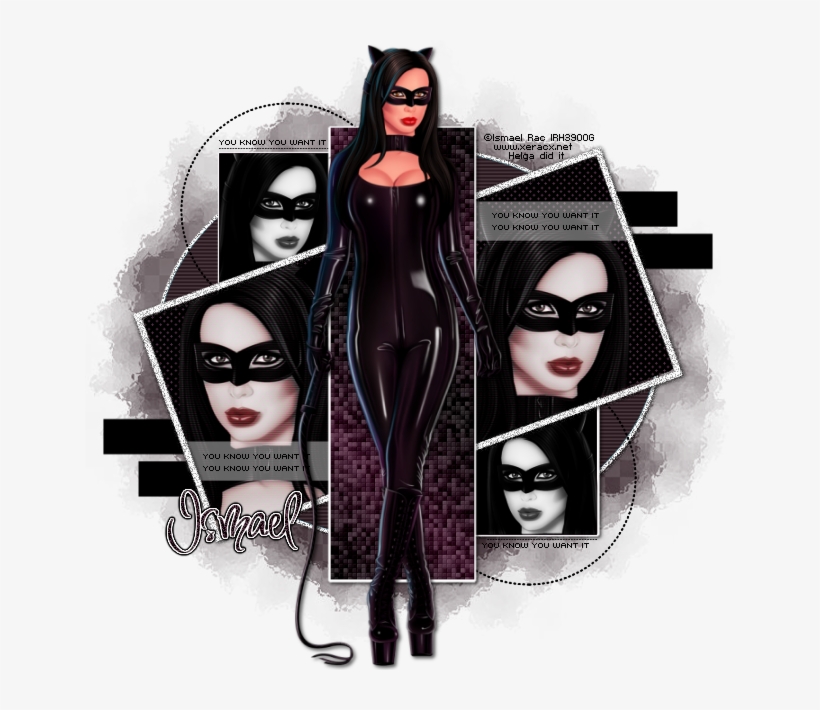 Get The 2015 Catwoman Hd Sl Free With A $2 - Catwoman, transparent png download