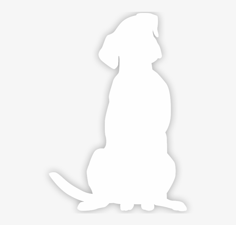 White Dog Silhouette At Getdrawings - White Silhouette Of A Dog, transparent png download