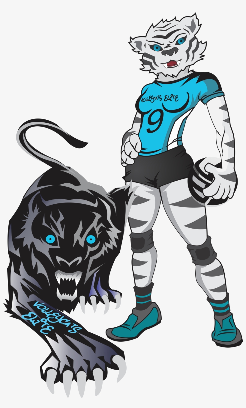 Never Stop Looking Up And 25 Volleyball Motivational - Volleycats Elite Logo, transparent png download