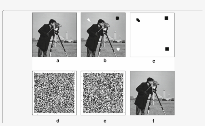 Sual Results Of The Proposed Scheme For The Image " - Copy Move Forgery, transparent png download