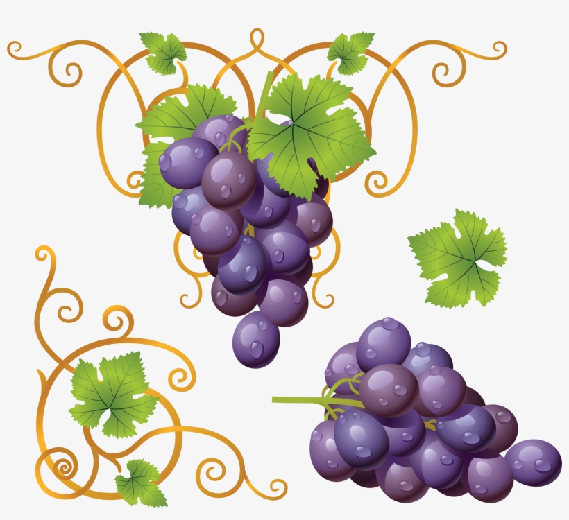 Grape Png Image - Grape Png Clipart, transparent png download