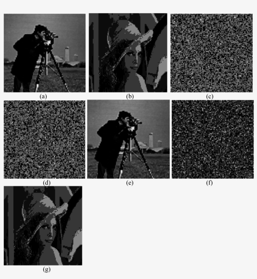 The Original Cameraman Image, (b) The Two Most Significant - Monochrome, transparent png download