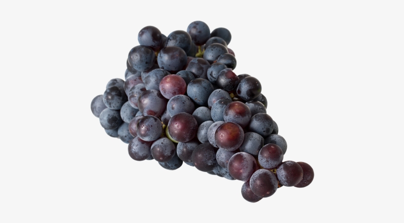 Grapes,winegrowing - Grape Growing: 150 Page Lined Notebook, transparent png download