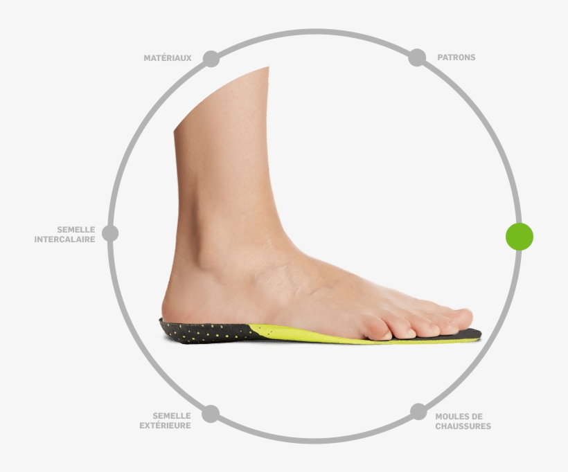 Graphic Freeuse Ankle Drawing Foot Heel - Shoe, transparent png download