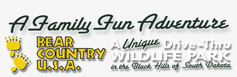 Cropped Bcusa Web Banner Sm - Seen On The Knot, transparent png download