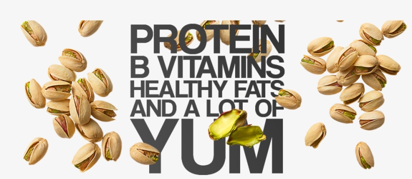 Protein, B Vitamins, Healthy Fats And A Lot Of Tum - Pistachio, transparent png download
