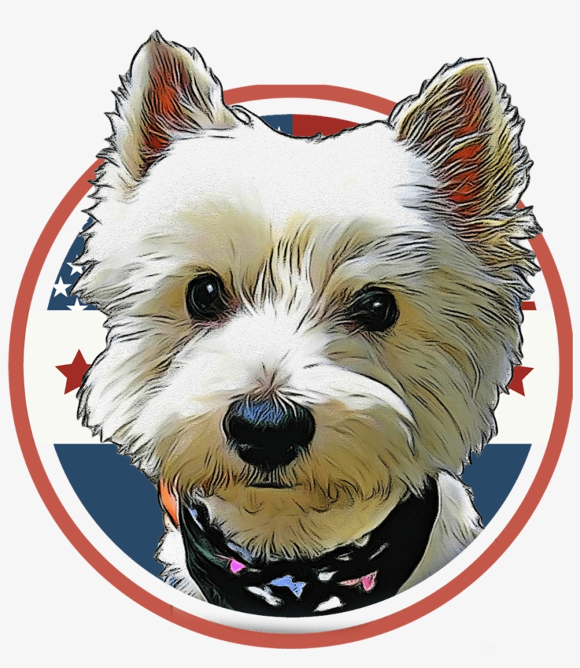Custom Pet Portrait- American Flag / Digital File Only - West Highland White Terrier, transparent png download