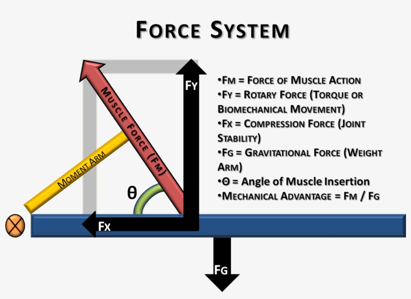 Torque - Moment Arm, transparent png download