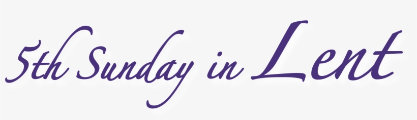 5th Sunday Lent Purple Wh Ds1 - 4th Sunday Of Lent Banner, transparent png download
