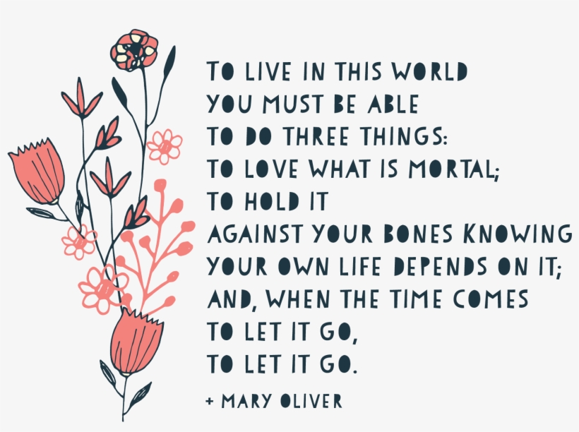 Lent 4 March 11 2018 Bulletin - Westmount Presbyterian Church, transparent png download