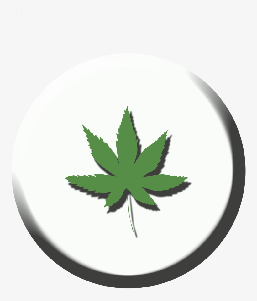 Personal Cultivation - Feuille D Automne Clipart, transparent png download