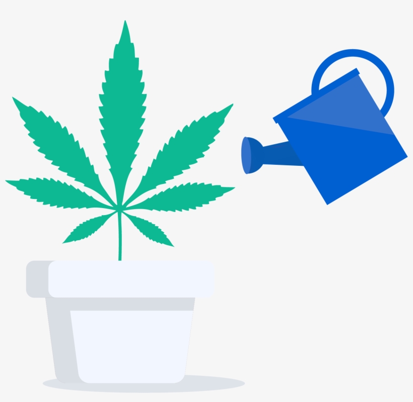 What Can You Grow - Marijuana Leaf, transparent png download