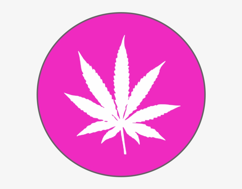 The Deadline For Applications Is June 30, 2018 For - Gold Weed Leaf Sticker, transparent png download