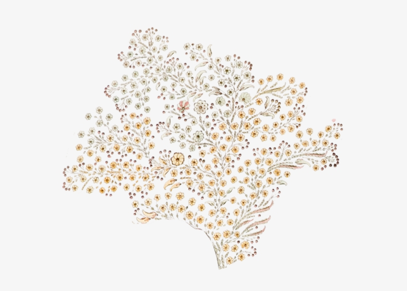 Íslandus - Silver Crimp Beads, transparent png download