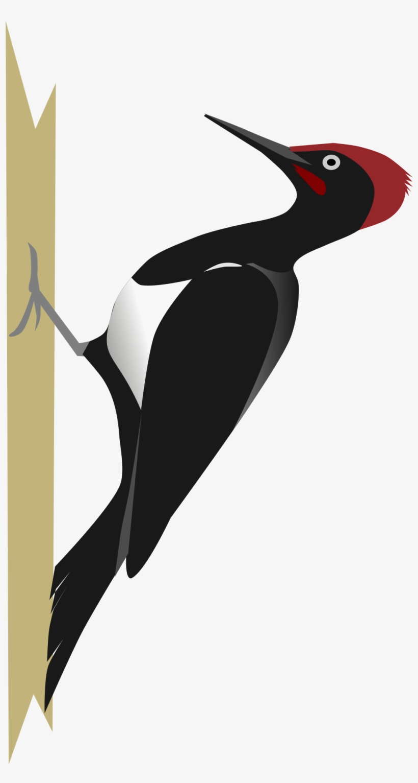 Woodpecker Png, transparent png download